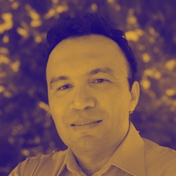Prof. Dr. Cenktan Özyıldırım